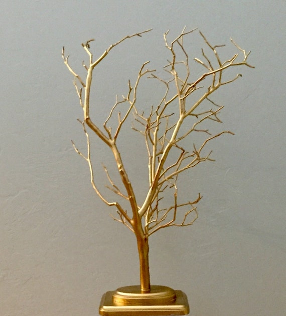 gold manzanita tree