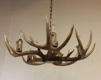 5-light Whitetail Deer Antler Chandelier (22-24" W. X 6-8" H.) Size: Medium