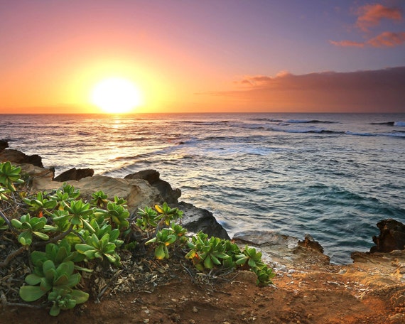 Hawaii Kauai Shipwreck beach paradise sunrise green