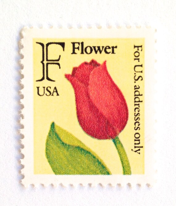 il_570xN