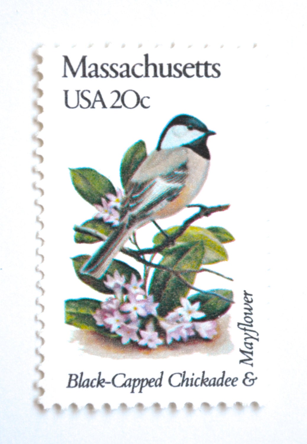 10 Unused Massachusetts Vintage Postage Stamps // BlackCapped