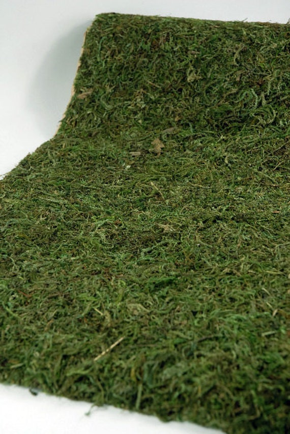 Large Moss Table Runner Moss Table Runner Moss Floor