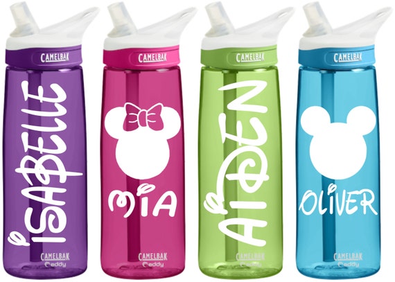 Disney Themed Personalized Camelbak Water Bottle