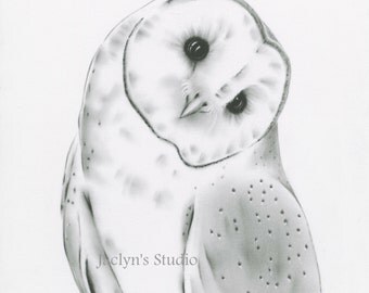 8"x10" Barn Owl Art Print, Owl Charcoal Drawing Giclee Print, Owl Sketch, Owl Giclee Print, Owl Drawing, Charcoal Owl