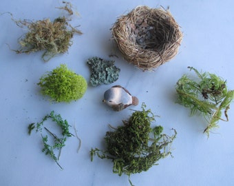 DIY Nest Decorate Your Own Nest Moss Nest Bird Nest