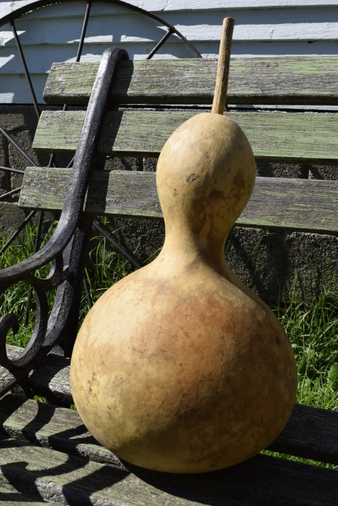 Dried Birdhouse gourd for crafts