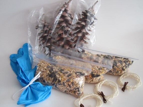 DYI Natural Pine Cone Bird Feeder Kit ~ Includes Supplies For 3 Bird Feeders ~ Pine Cones, Hand Spun Yarn, Seeds, and More!