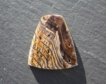 Hell's Canyon Petrified Wood Cabochon
