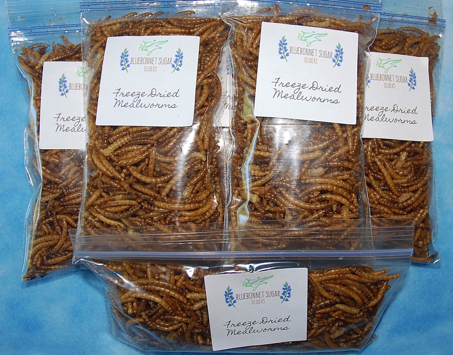 Sugar Glider Treat Freeze Dried Mealworms by on Etsy