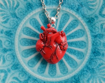 Anatomical heart necklace Real heart necklace Be my valentine Valentines day gift Girlfriend present Red clay necklace Christmas gift