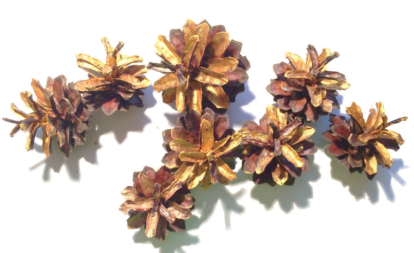 bulk pine cones gold pine cones christmas wreath supplies bulk pine cones gold pine cones christmas wreath supplies