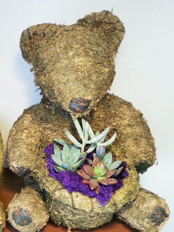 build a bear succulent