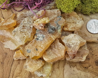 Fossilized Raw Amber 1 oz. Lot - 340