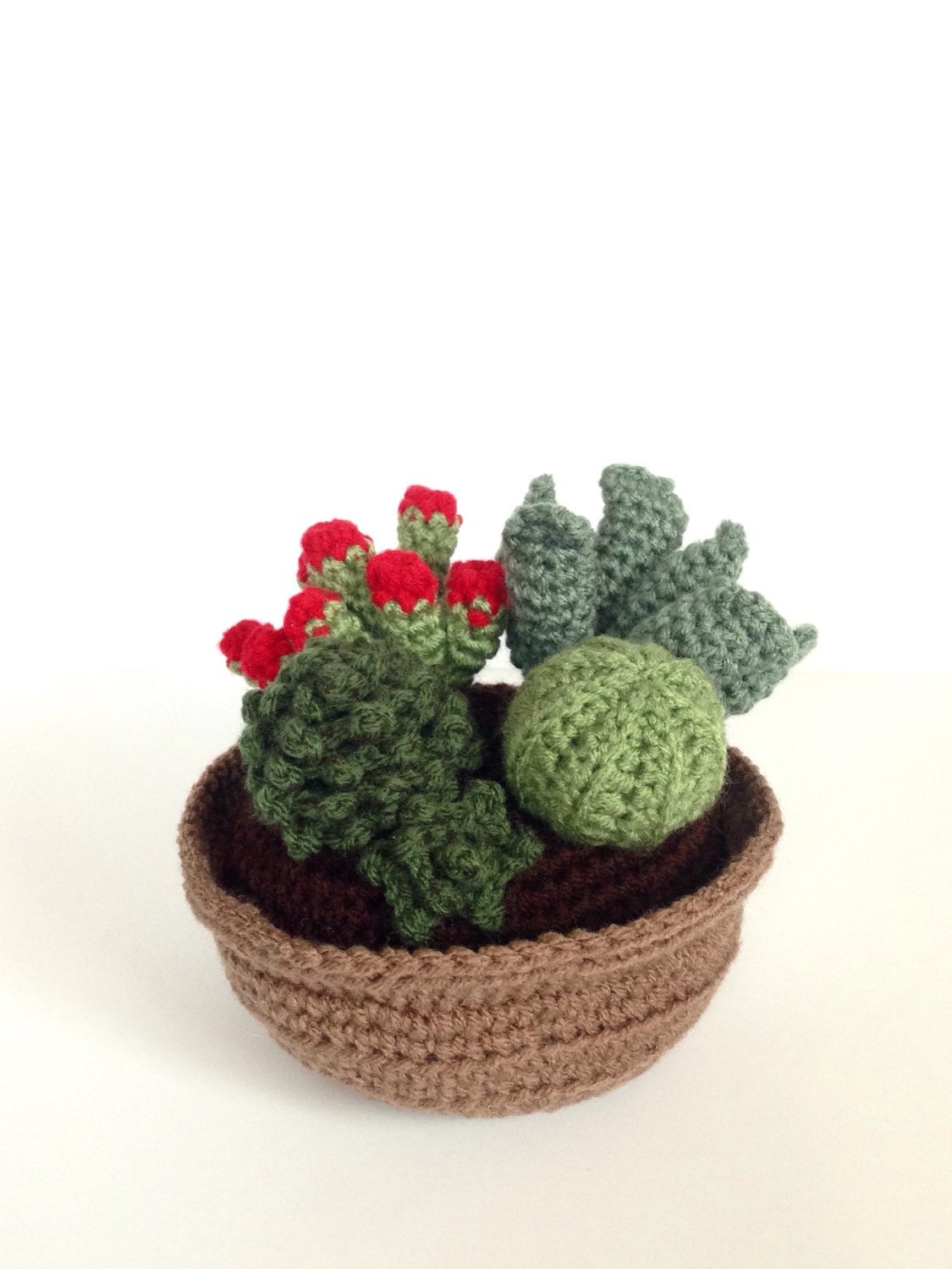 Crochet Succulent Plant Arrangement