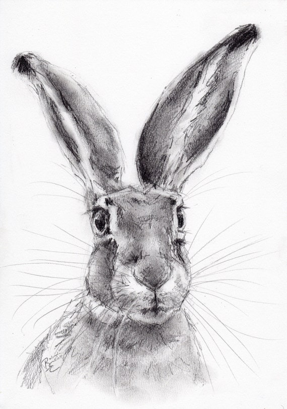 il_570xN.861390281_gfvn.jpg (570×811) (With images) | Rabbit painting ...