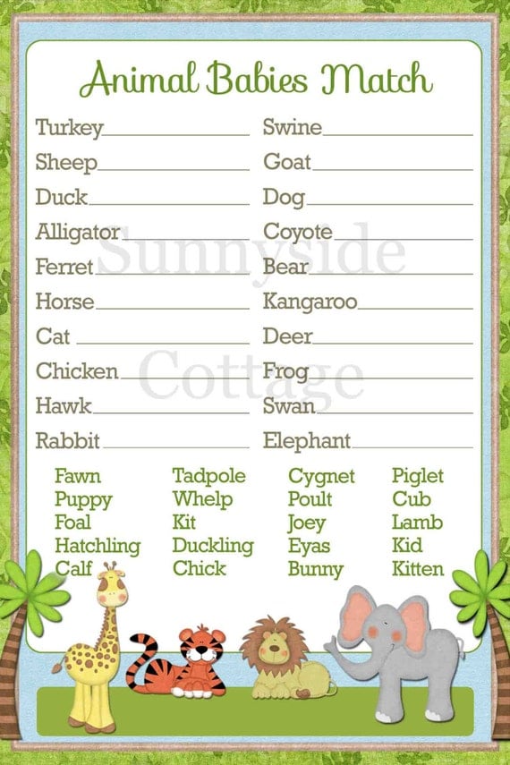 match the animal to its baby answers