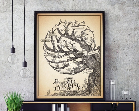 The Animal Tree Of Life Poster Biology print wall decor
