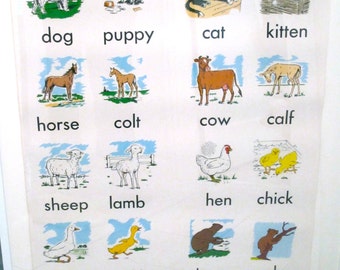 Vintage School Chart Animals Ideal School Supply Mid Century Modern