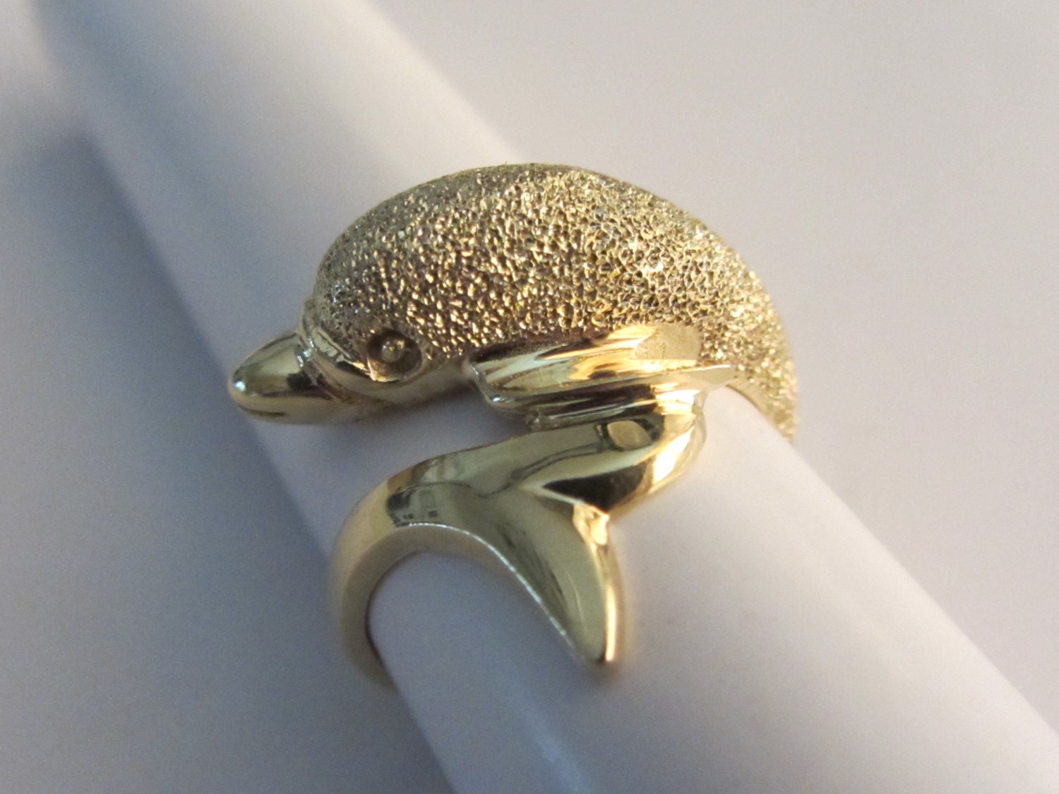 dolphin climbing rings