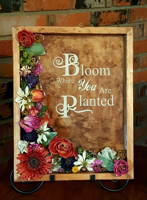 Real flower resin shadowbox by kaylaskraftz on Etsy