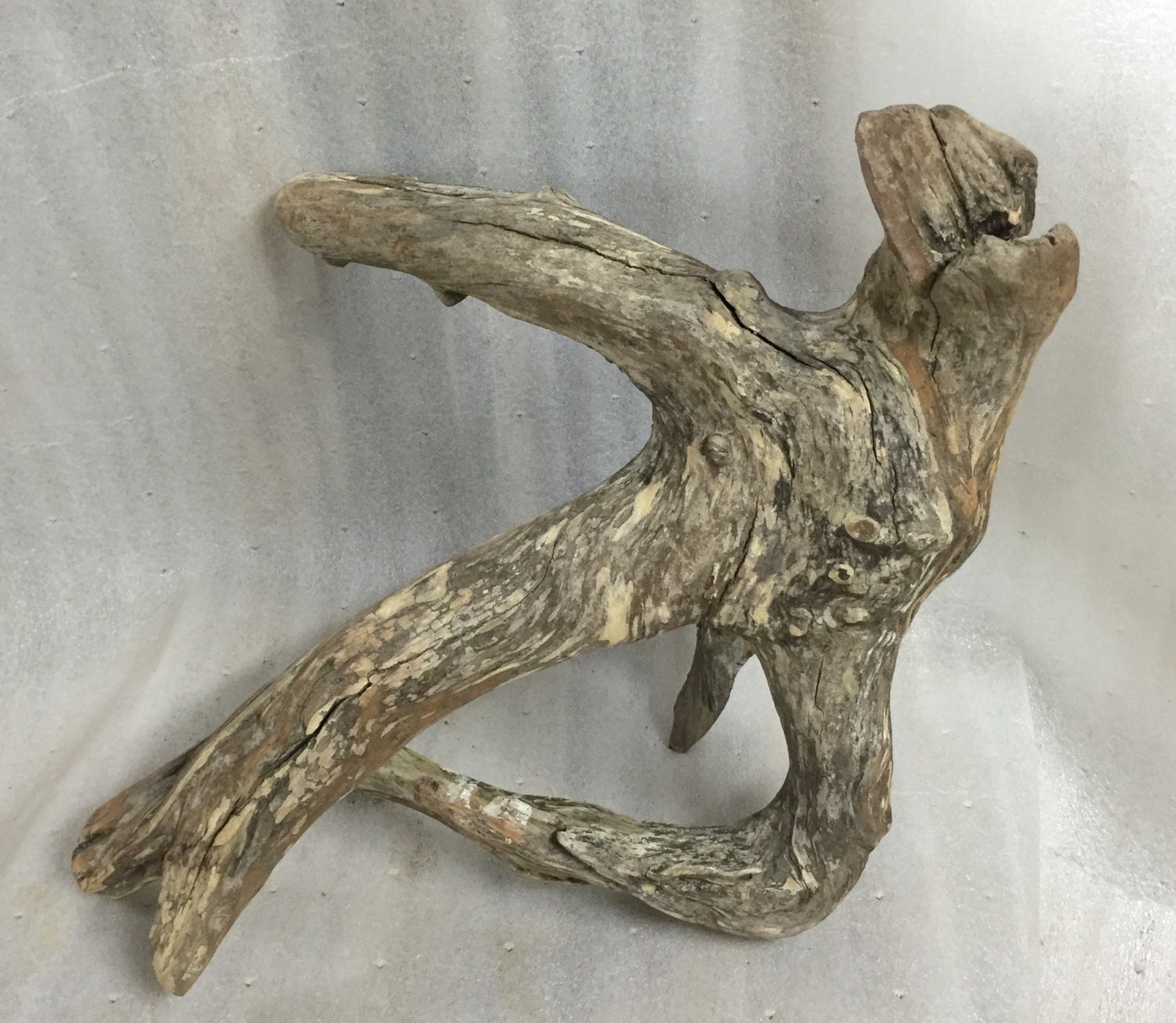 Seal Driftwood Piece See Description natural weathered