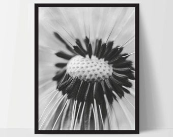 Printable Wall Art, Up Close Flower Photography, Wall Art, Artwork, Home Decor, Modern Print, Abstract Art, Black White, Digital Print