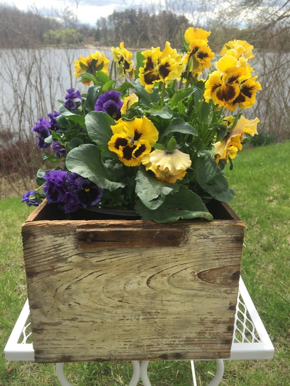 Vintage Rustic Wooden Crate Box Planter Rustic Country