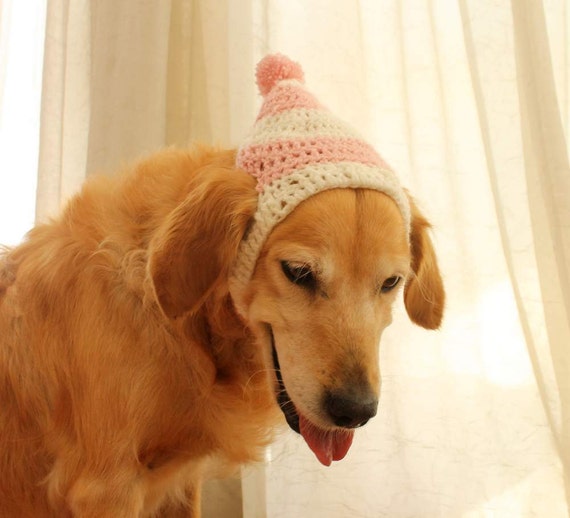 Dog Hat Dog Beanie Winter Hat For Dogs Large Breed Dog Hat   Il 570xN.868298443 8fv7 