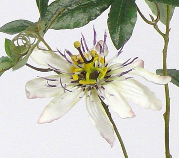 Artificial silk Passion Flower Natural Color Artificial Passion branch Centerpieces floral