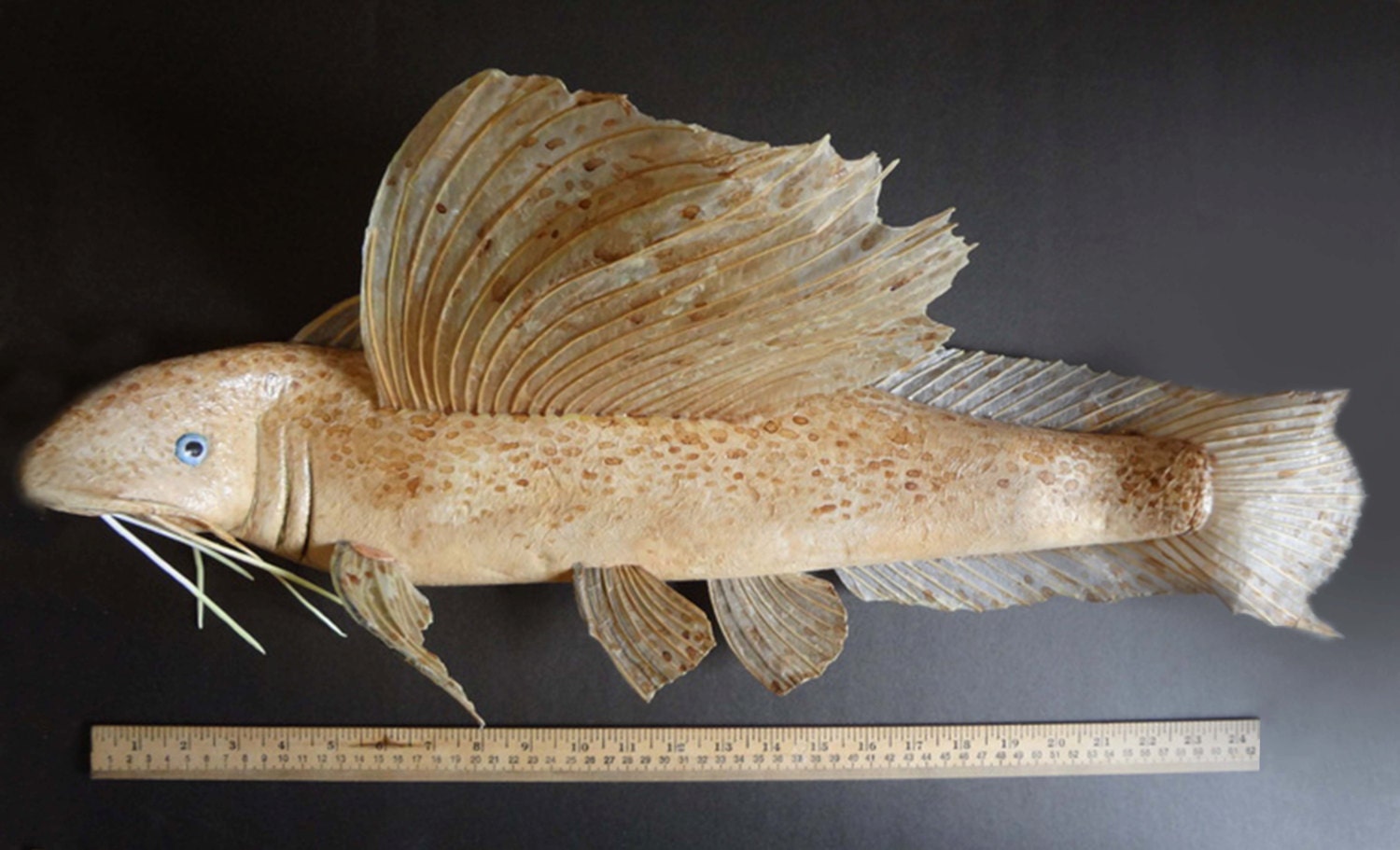 The Last Extinct FLYING NILE CATFISH TrophyArt Masterpiece