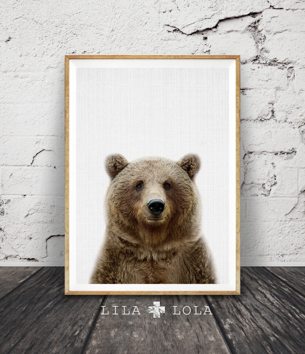 Nursery Wall Art Bear Print Animal Photo Woodlands