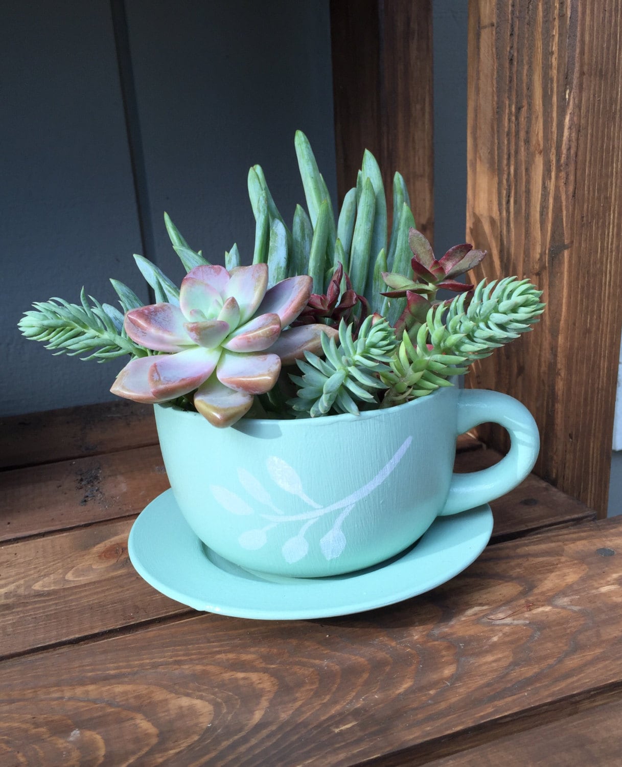 Custom ceramic tea cup and saucer planter with stenciled