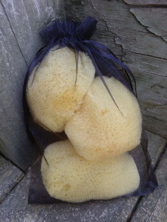 Menstrual Sponge Sea Sponge Tampons Feminine Sponge by TheNakeyCat