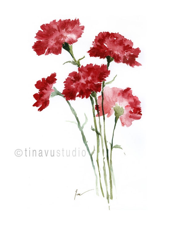 Red carnations. Carnation watercolor. Watercolor by TinaVuStudio