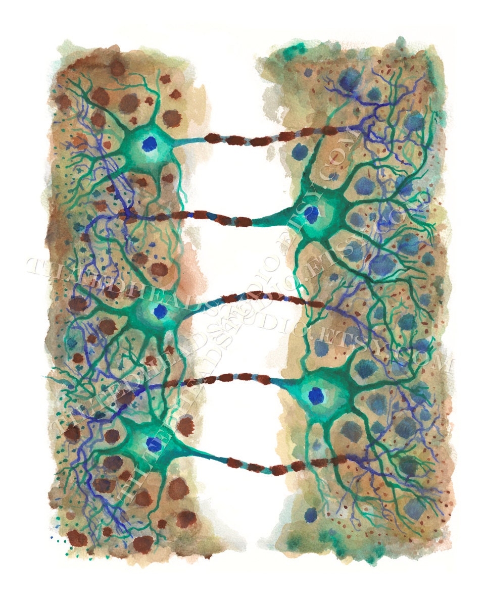 Neuron Print Neurons Cell Brain Neurotransmitters Neuroscience