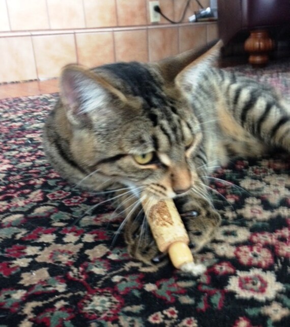 all natural cat toys