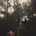 Heather Erickson