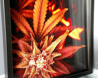 Layered Acrylic Print Shadowbox - 21 and Up