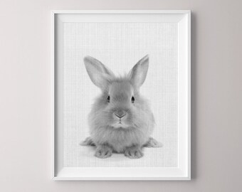 Bunny Rabbit Art 