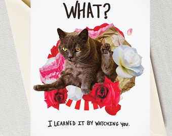 food Slut cat food Slut cat