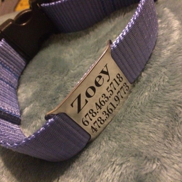 Engraved Name Plate Dog Collar Personalized with 18 color choices