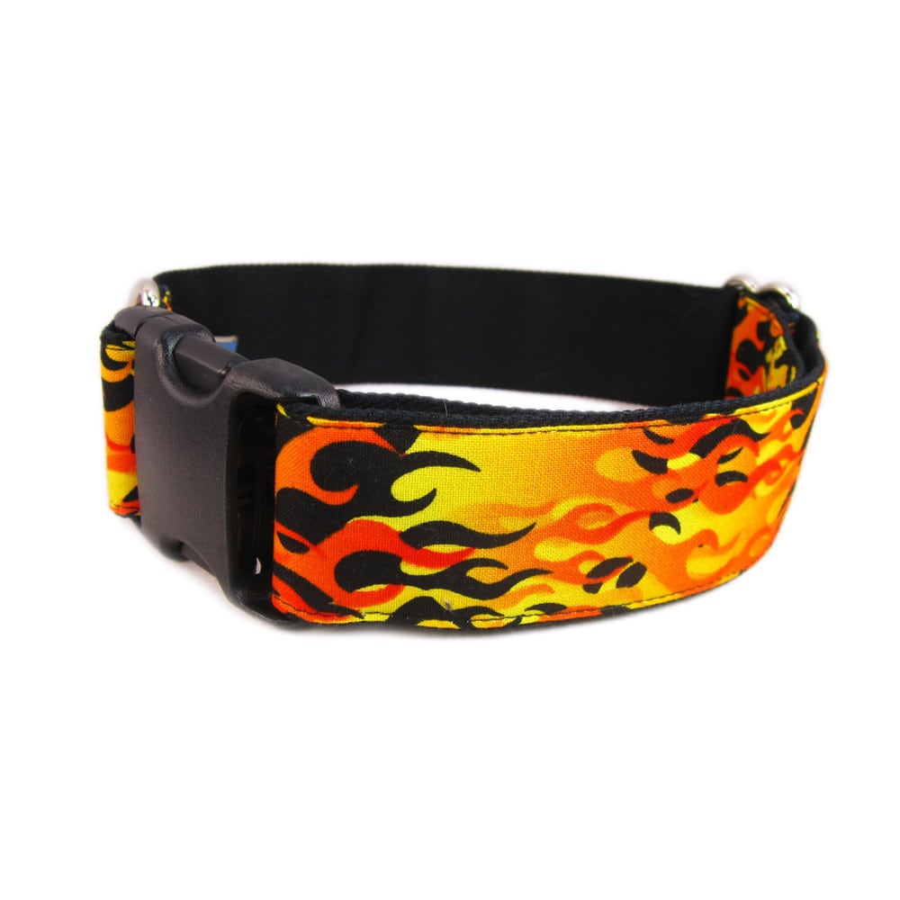 Collar for Boy Dog Orange Dog Collar Dog Collar with