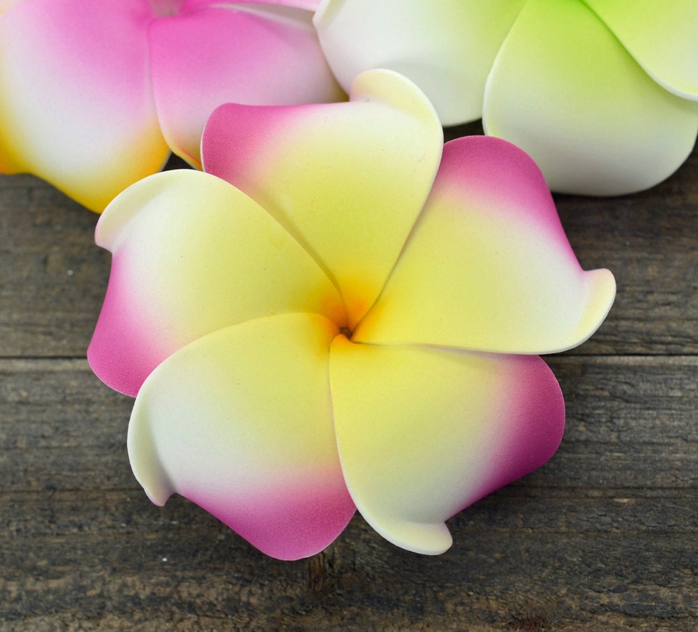 3 Inch Plumeria Hair Clip Flower Hair Clip by Girlflowers