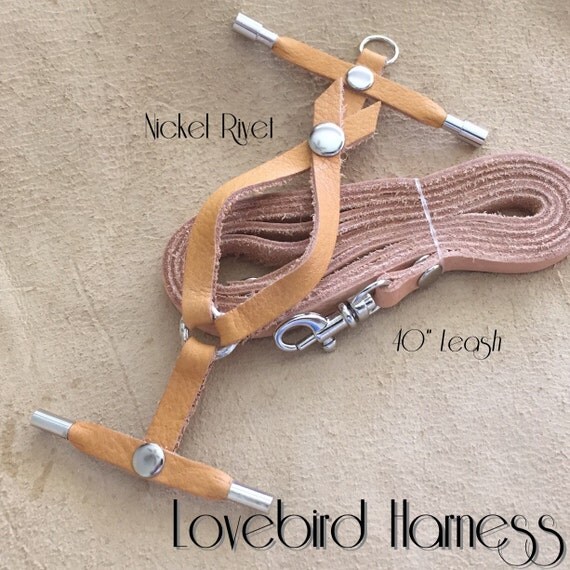 Lovebird Bird Harness Leash and Case by Leathers4Feathers on Etsy