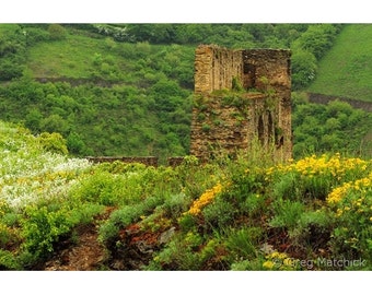 Fine Art Color Landscape Photography of Rheinfels Castle Ruins and Wildflowers in the Rhine River Valley in Germany 1