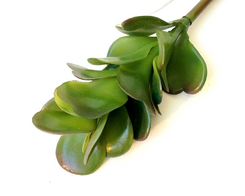 Jade plant faux jade plant faux succulents artificial