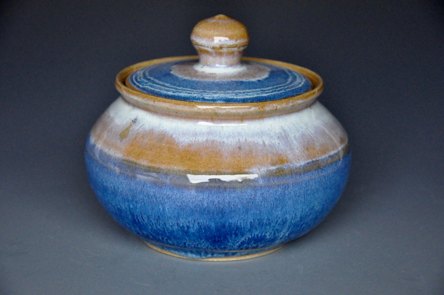 Blue Pottery Jar Ceramic Sugar Bowl Stoneware Jar A