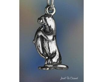 Sterling Silver Sea or River Otter Charm Otters with Fish 3D Solid 925