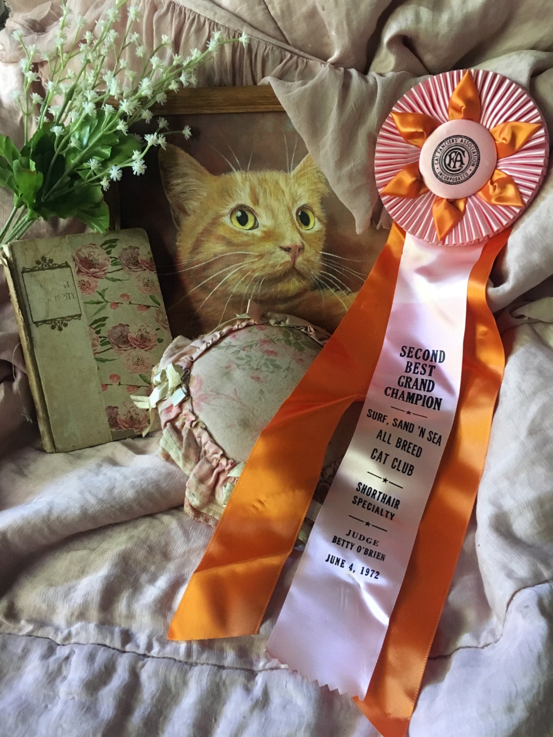 Vintage CFA CAT Show Satin Ribbon Rosette Award 2nd Best Grand