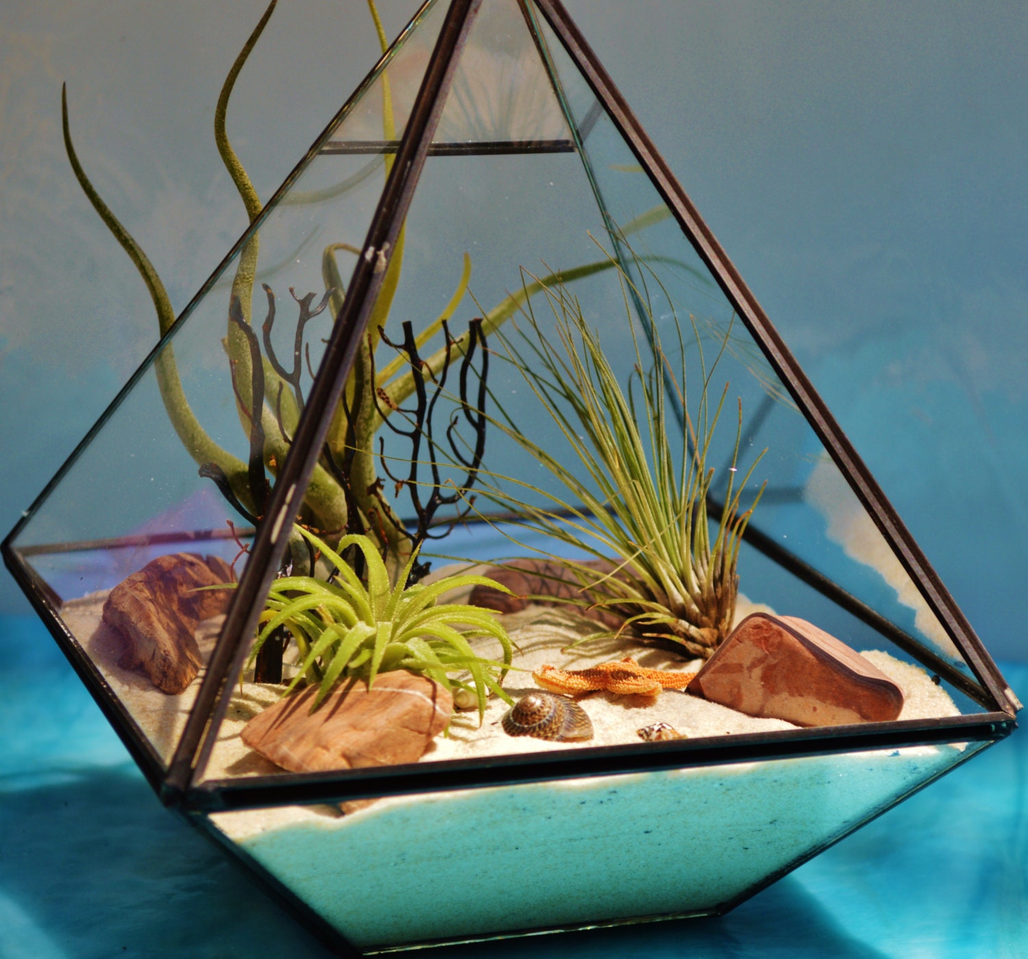 Geometric Pyramid Terrarium Kit Rustic Black Frame